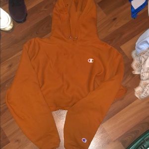 Champion Women’s Medium Crop Hoodie